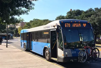 Buses